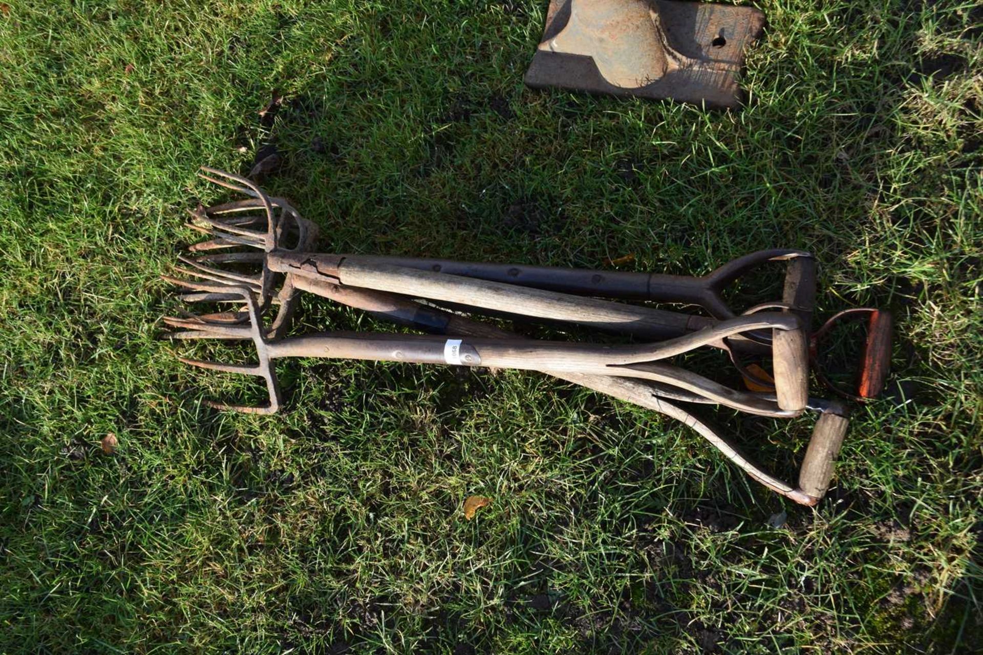 Mixed Lot: Assorted forks