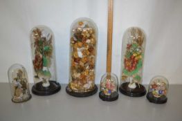 Collection of various dried flowers under glass domes