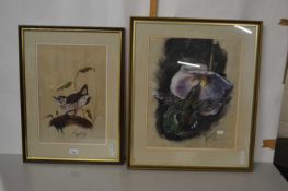 Howes, two studies, Hummingbird and a Wren (2)