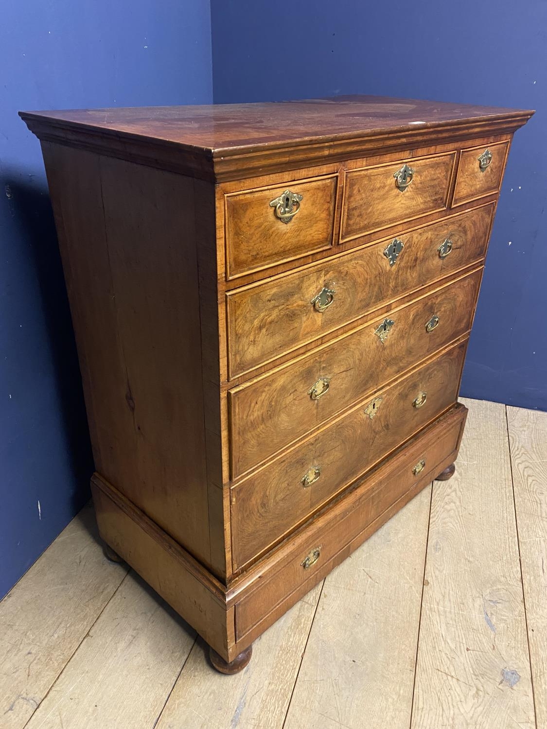 Mahogany & walnut chest of 3 short over 4 long graduated drawers on bun feet within a fitted - Image 2 of 2