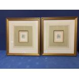 Pair of gilt glazed framed, and silk and card mounted drawings (?/or copies) of a frog and hound