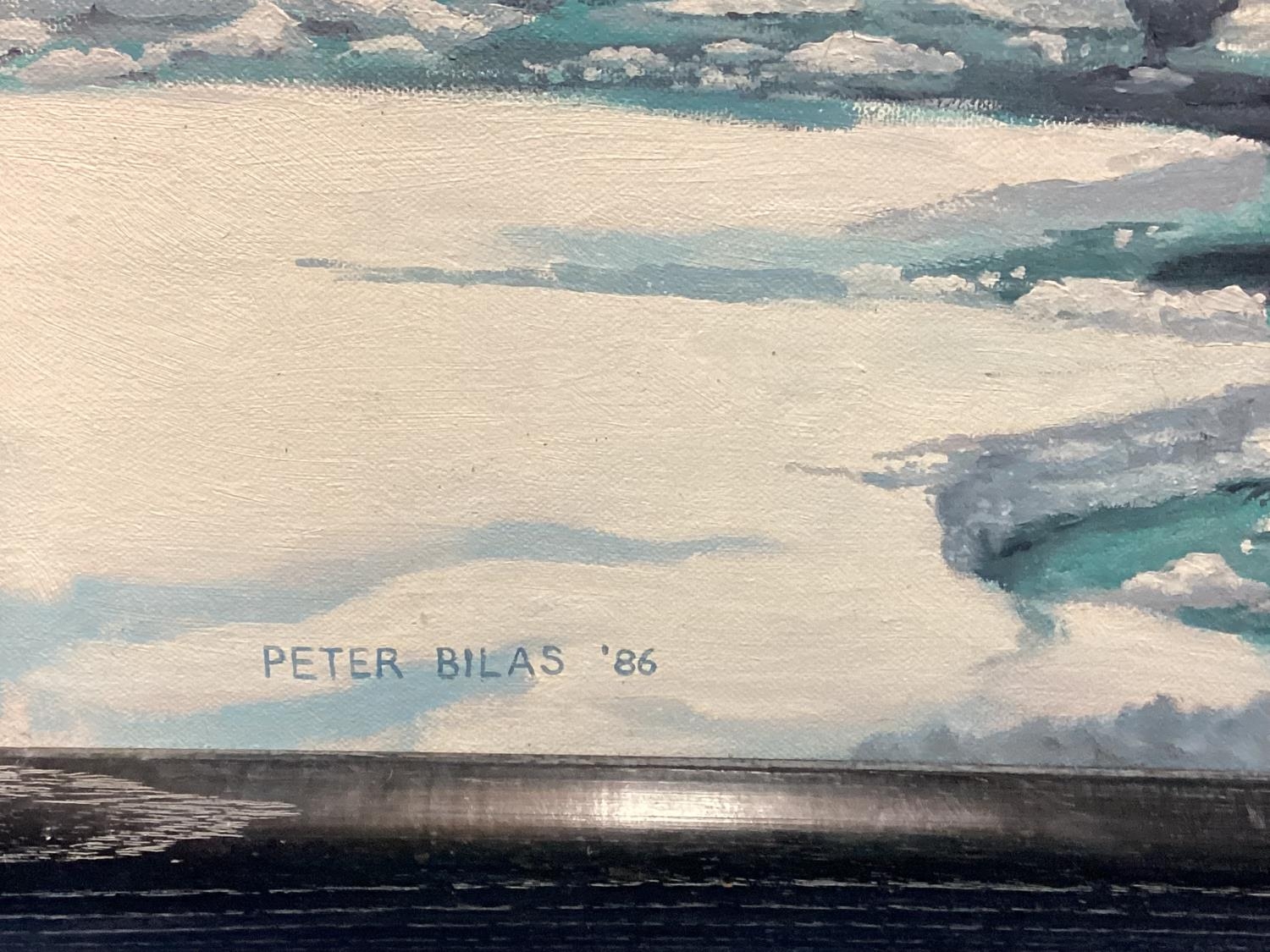 PETER BILAS, 1952,Acrylic on Canvas, of an Antarctic Nautical scene, signed and dated lower left - Image 4 of 8