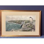 DAVID M TEAGUE, British, C20th, watercolour on paper of two kestrels, in a coastal scene, signed