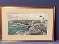 DAVID M TEAGUE, British, C20th, watercolour on paper of two kestrels, in a coastal scene, signed