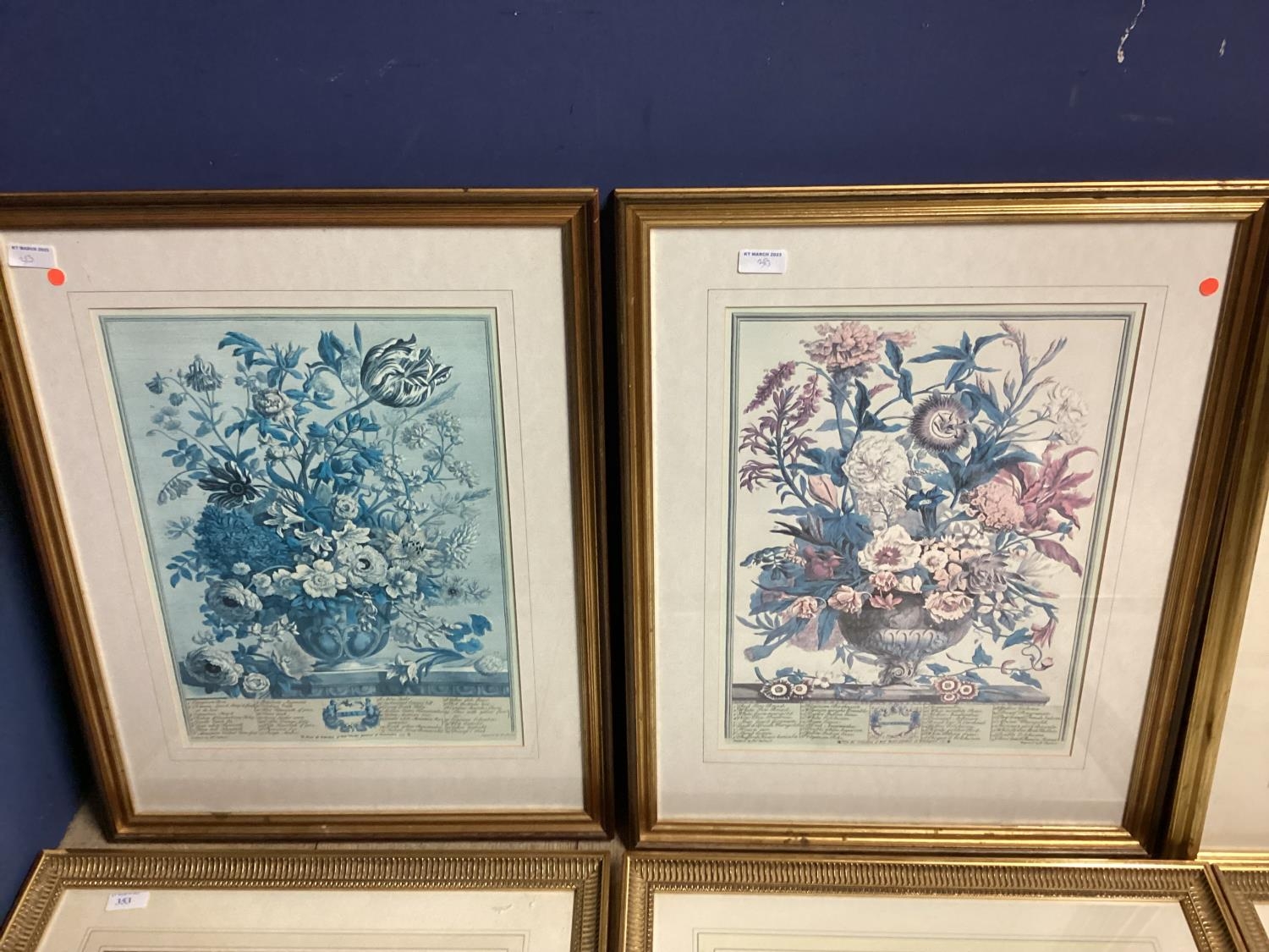 A set of six Limited Edition floral prints by Elizabeth Cameron, each signed in pencil Lower right - Image 2 of 8