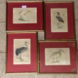 Four early C20th book plates of exotic birds in gilt glazed frames, one missing glass 19cm x 13cm