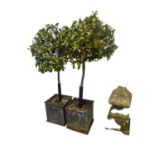 pair of planters with bay trees, some rust and wear. No guarantees with trees, sold as seen