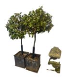 pair of planters with bay trees, some rust and wear. No guarantees with trees, sold as seen