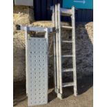 2 metal ladders