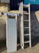 2 metal ladders