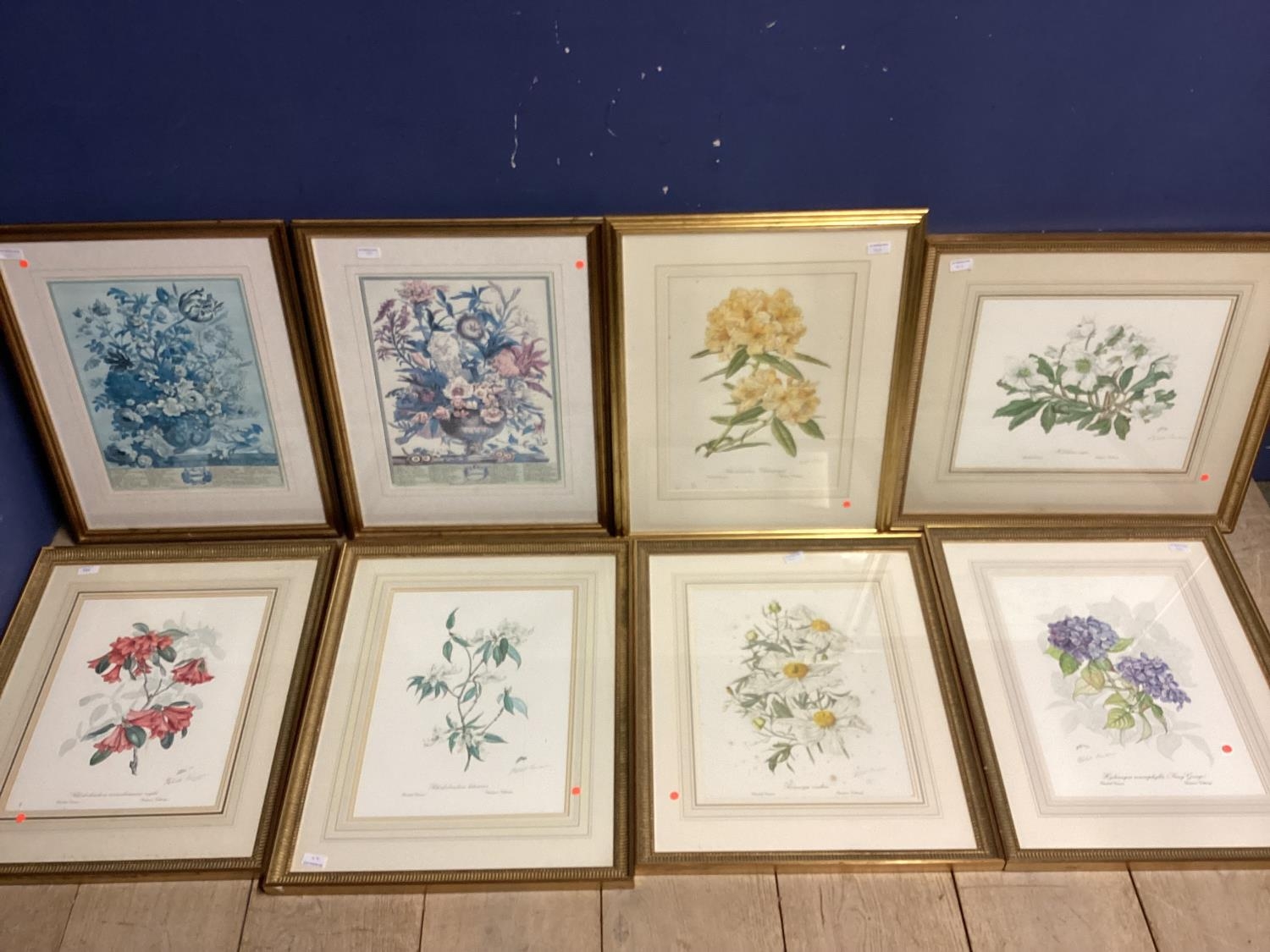 A set of six Limited Edition floral prints by Elizabeth Cameron, each signed in pencil Lower right