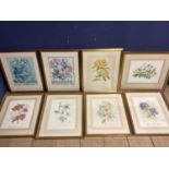 A set of six Limited Edition floral prints by Elizabeth Cameron, each signed in pencil Lower right