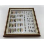 A collection of fishing flies in a boxed glass display frame 58 x 67cm