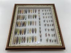 A collection of fishing flies in a boxed glass display frame 58 x 67cm