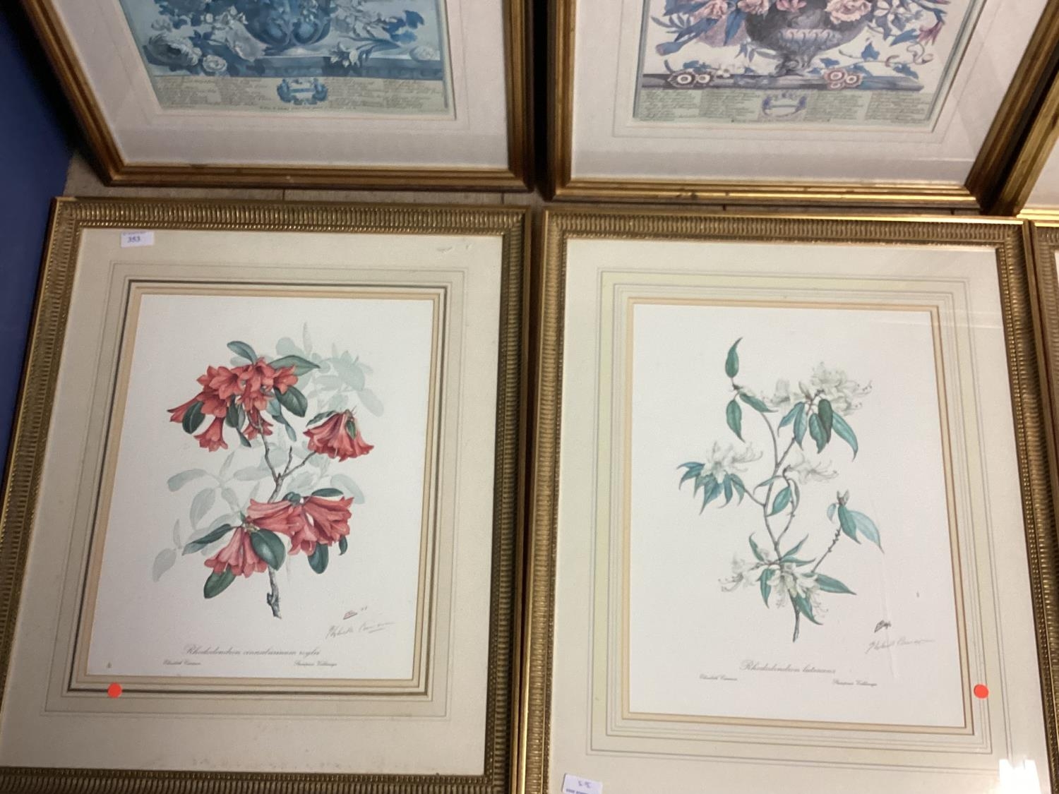 A set of six Limited Edition floral prints by Elizabeth Cameron, each signed in pencil Lower right - Image 5 of 8