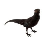 A Cold Painted Bronze model of a Pheasant, unsigned, 30 x 17cm