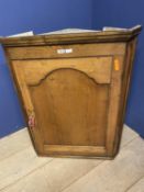 oak hanging corner cupboard, and another small mahogany, astragal glazed cabinet