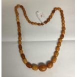 A strand of graduated honey amber beads 72cm 62g