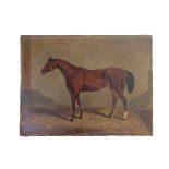 A C19th style unframed oil on canvas of a thoroughbred in stable, annotated Peter Simple. (Peter