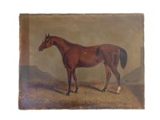 A C19th style unframed oil on canvas of a thoroughbred in stable, annotated Peter Simple. (Peter