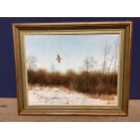 Geoffrey Campbell-Black British C20th oil on canvas of a Woodcock in flight, 34 x 44cm