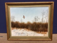 Geoffrey Campbell-Black British C20th oil on canvas of a Woodcock in flight, 34 x 44cm