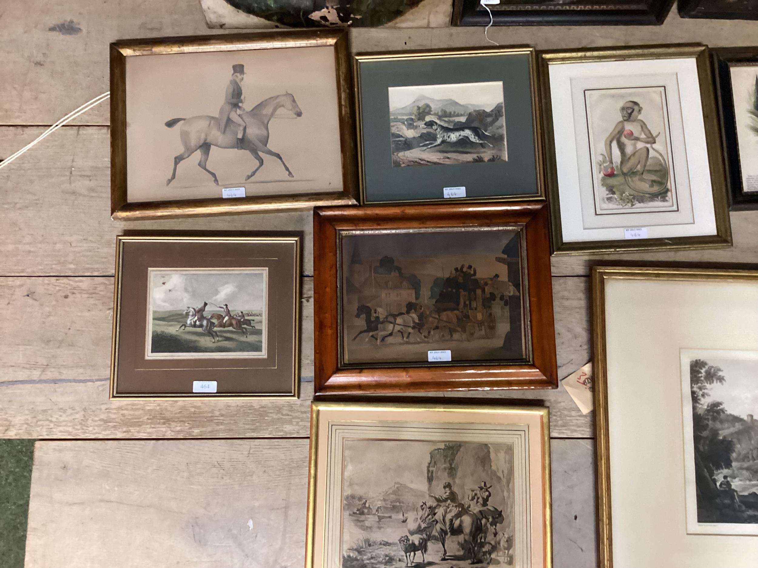 Quantity of various framed and glazed pictures, of animals, hunting, dog portrait, etc, see images - Image 3 of 6