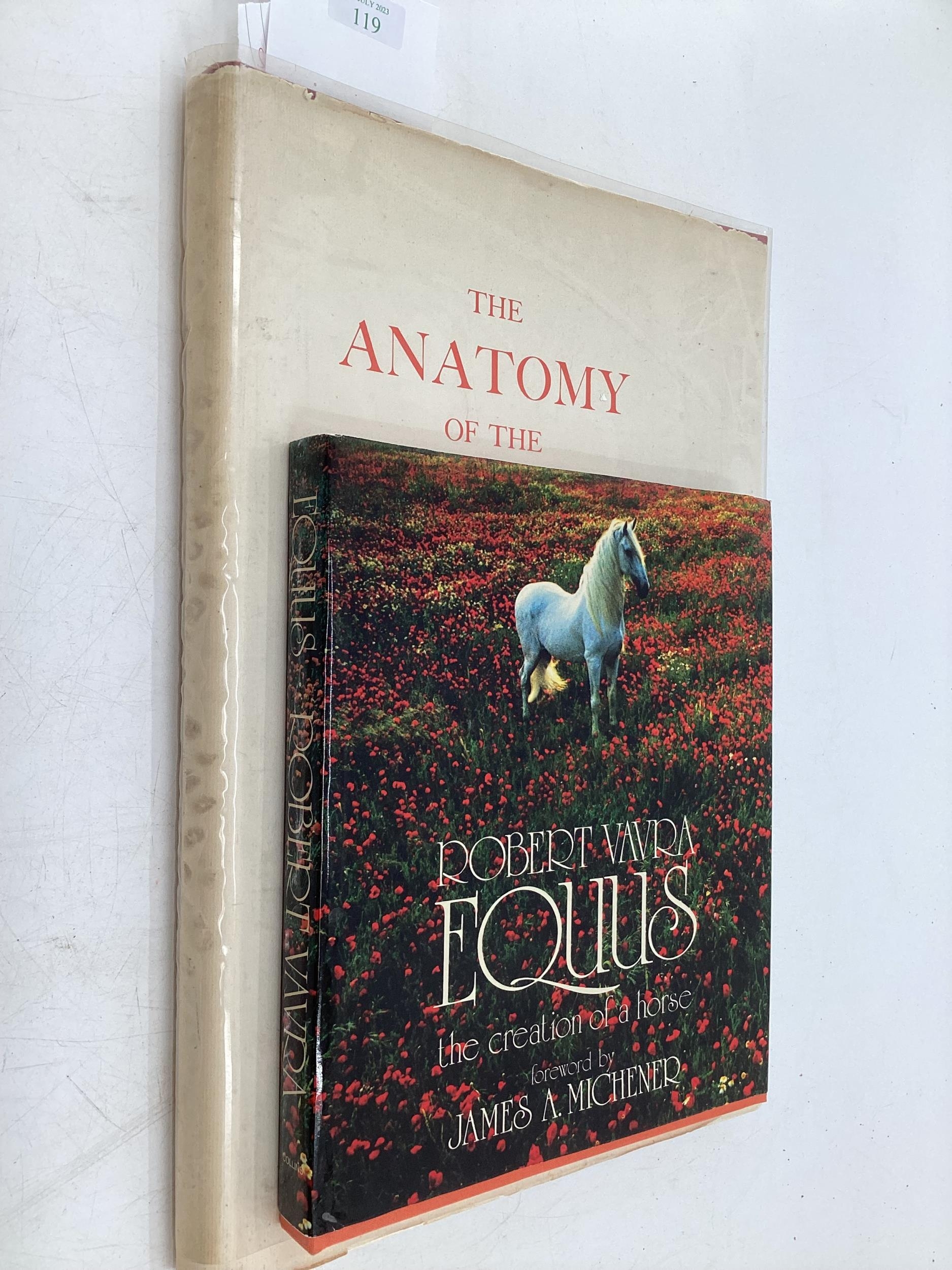 The Anatomy of the Horse by Stubbs J.Allen and Co 1965 and one other. - Image 6 of 9