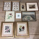 Pair of decorative gilt glazed botanical prints, pair of framed ang glazed fencing prints and a