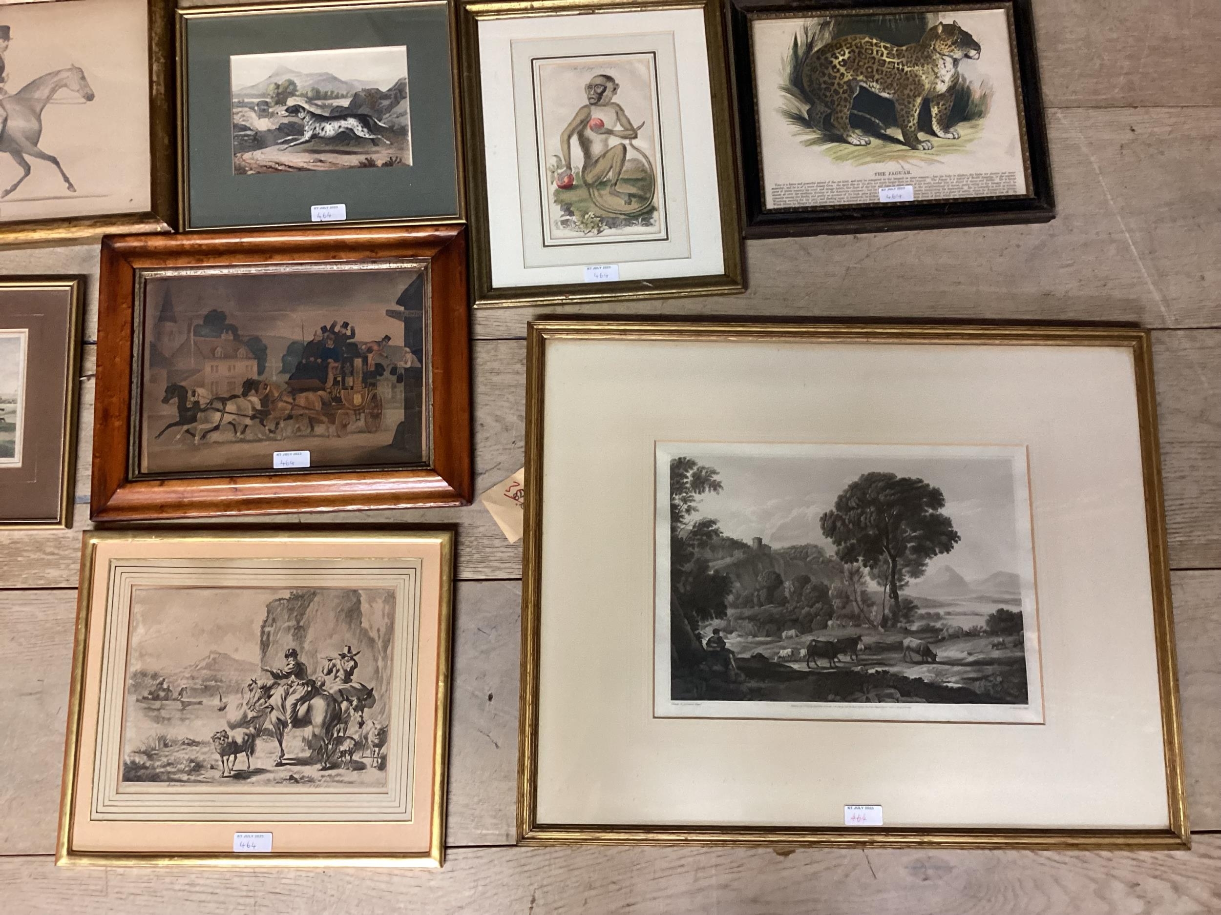 Quantity of various framed and glazed pictures, of animals, hunting, dog portrait, etc, see images - Image 2 of 6