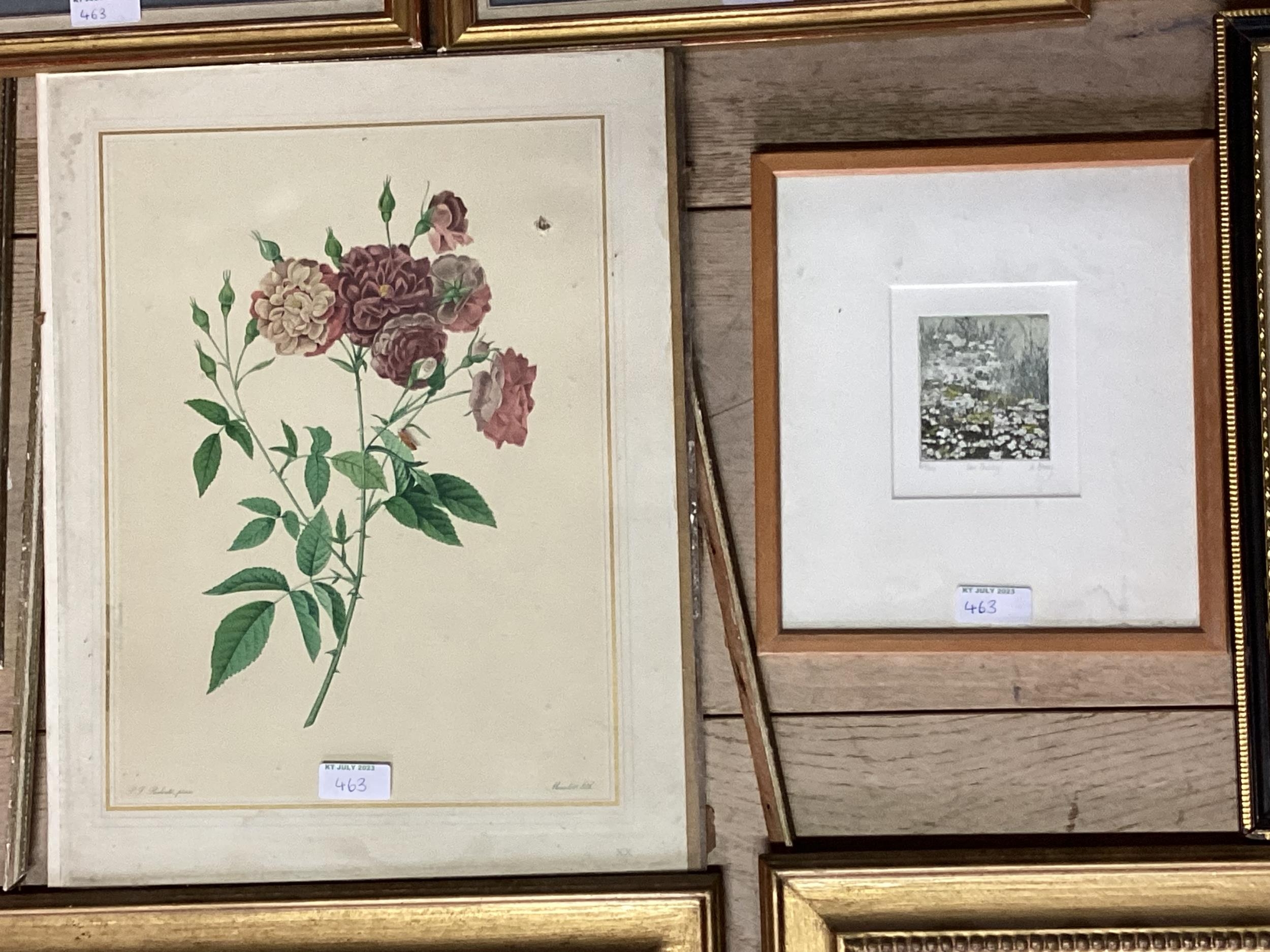 Pair of decorative gilt glazed botanical prints, pair of framed ang glazed fencing prints and a - Image 4 of 7