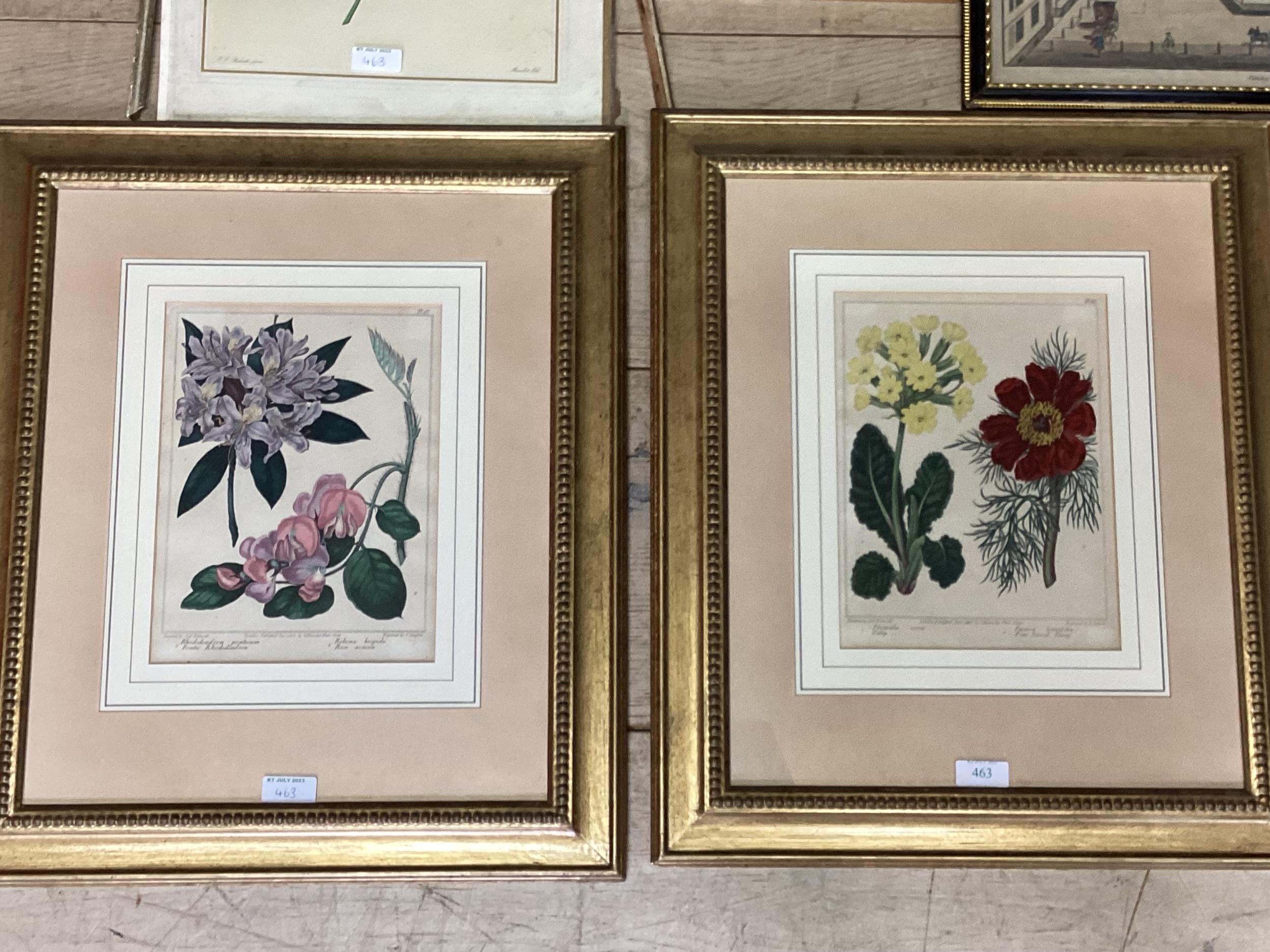 Pair of decorative gilt glazed botanical prints, pair of framed ang glazed fencing prints and a - Image 2 of 7