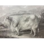 Black and White Engraving, painted by G Horner Manchester, Engraved by C. Turner, A. R. A., Title to