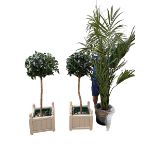 Pair of grey painted planters each with a good faux bay tree and another faux house plant
