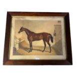 An oak glazed print of a thoroughbred racehorse in a stable, 37 x 49cm