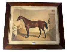 An oak glazed print of a thoroughbred racehorse in a stable, 37 x 49cm