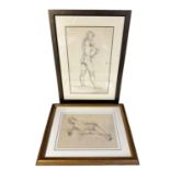 Two original Pencil studies, nudes, by Constance Parker, in glazed frames, largest 50 x 30cm