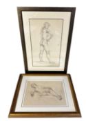 Two original Pencil studies, nudes, by Constance Parker, in glazed frames, largest 50 x 30cm
