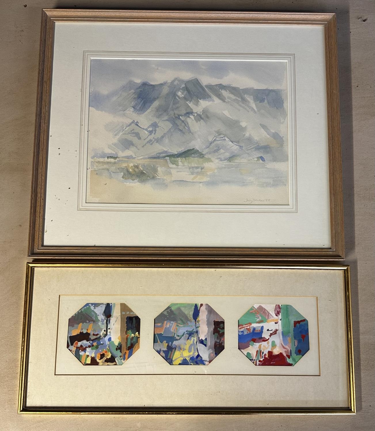Contemporary 3 panel picture, labelled verso, Mollie Brimsfield, 1986, Shadows on Madeira,