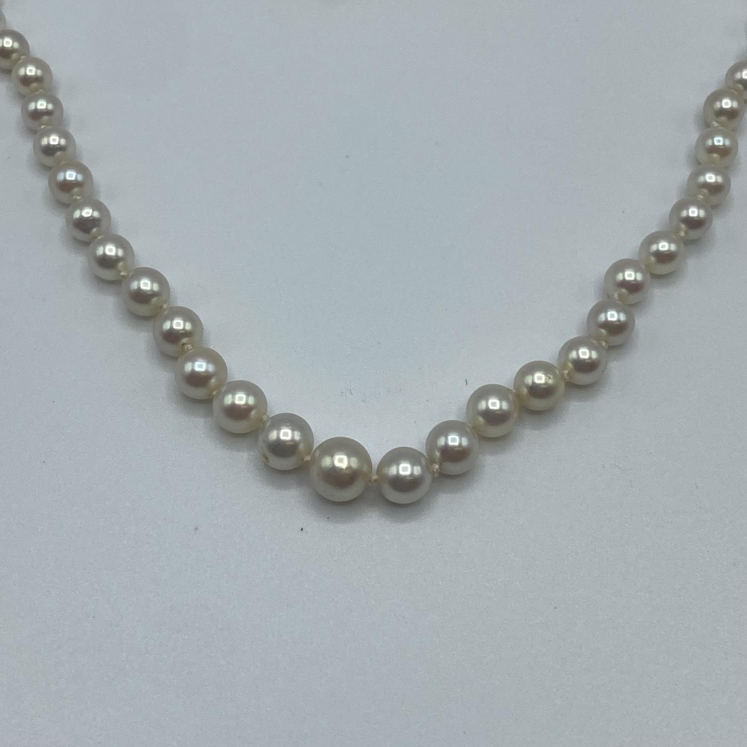 A strand of graduated pearls on a white metal clasp 52cm, together with a matching pearl set ring - Image 3 of 6