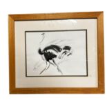 Contemporary framed and glazed picture of an emu, 27.5cm x 37.5cm