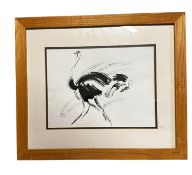 Contemporary framed and glazed picture of an emu, 27.5cm x 37.5cm