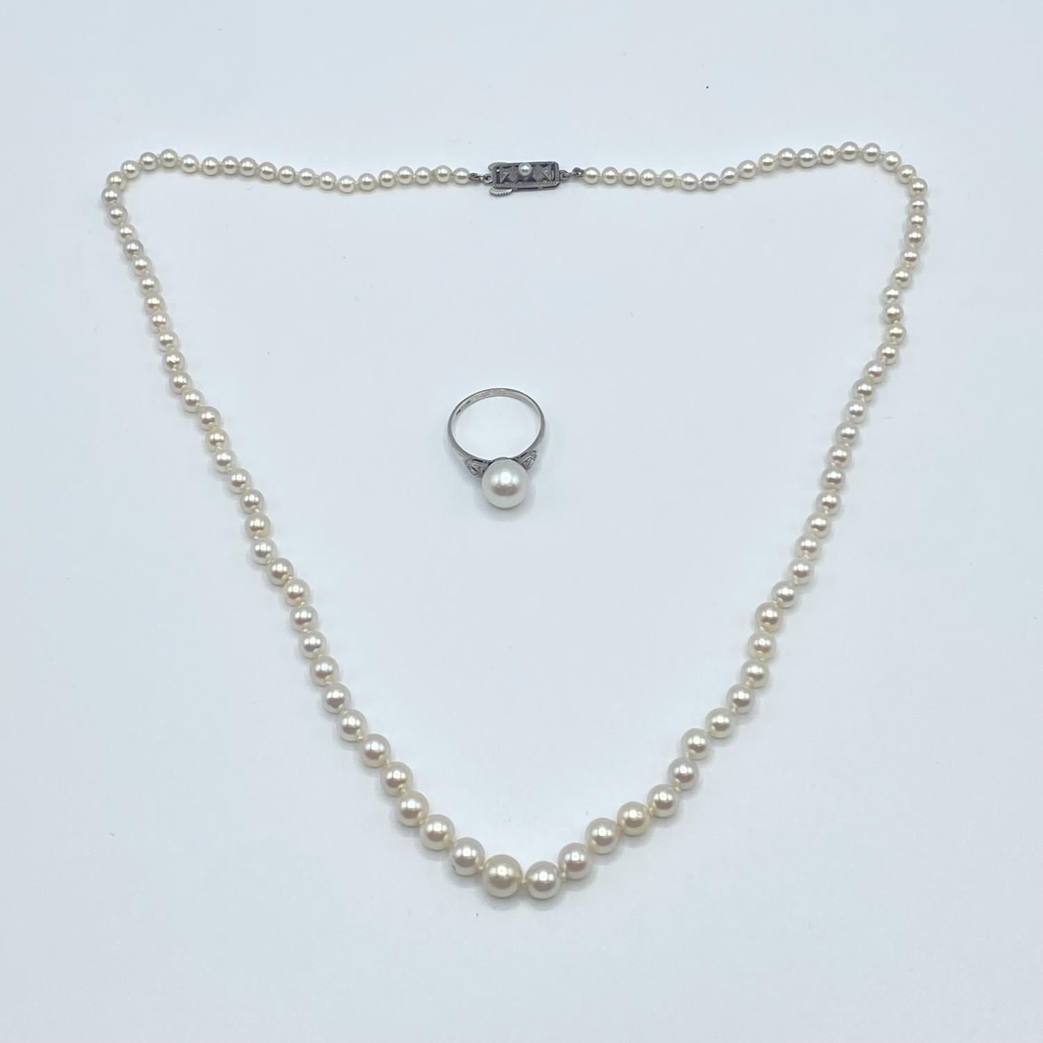 A strand of graduated pearls on a white metal clasp 52cm, together with a matching pearl set ring - Image 2 of 6