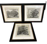 A set of three matching black painted wooden and gilt framed and glazed lithographs, "The