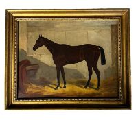 C19th Oil on canvas of a dark bay horse in a stall, unsigned, 34 x 44cm; label Verso "purchased from