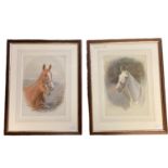 Pair of watercolours by Charles Edward Stewart, DOLLY GREY , and WILD THYME, framed and glazed, 34.