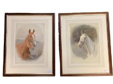 Pair of watercolours by Charles Edward Stewart, DOLLY GREY , and WILD THYME, framed and glazed, 34.