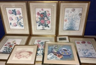 A set of framed and glazed botanical prints, labelled verso V&A to certify that the accompanying