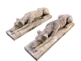 Pair of composite stone recumbant greyhounds statues. 68cm Long