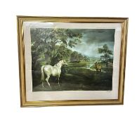 Susan Crawford, gilt glazed print, Grey Mare and Foal, signed to border in pencil lower right, 58